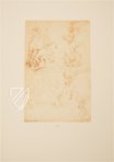 Leonardo da Vinci - Zeichnungen der Amerikanischen Sammlungen – Giunti Editore – New York Public Library (New York, USA) Leonardo da Vinci - Zeichnungen der Amerikanischen Sammlungen – Giunti Editore – New York Public Library (New York, USA)