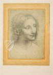Leonardo da Vinci - Zeichnungen der Amerikanischen Sammlungen – Giunti Editore – New York Public Library (New York, USA) Leonardo da Vinci - Zeichnungen der Amerikanischen Sammlungen – Giunti Editore – New York Public Library (New York, USA)
