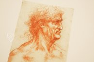 Leonardo da Vinci - Zeichnungen der Biblioteca Reale in Turin – Giunti Editore – Biblioteca Reale di Torino (Turin, Italien) Leonardo da Vinci - Zeichnungen der Biblioteca Reale in Turin – Giunti Editore – Biblioteca Reale di Torino (Turin, Italien)