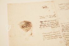 Leonardo da Vinci - Zeichnungen der Biblioteca Reale in Turin – Giunti Editore – Biblioteca Reale di Torino (Turin, Italien) Leonardo da Vinci - Zeichnungen der Biblioteca Reale in Turin – Giunti Editore – Biblioteca Reale di Torino (Turin, Italien)