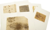 Leonardo da Vinci - Zeichnungen Landschaften, Pflanzen und Wasserstudien Faksimile