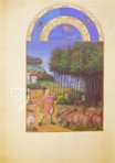 Les Très Riches Heures du Duc de Berry – Faksimile Verlag – Ms. 65 – Bibliothèque et Archives du Château (Chantilly, Frankreich)