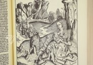 Liber Chronicarum – Vicent Garcia Editores – Inc/750 – Biblioteca Nacional de España (Madrid, Spanien)