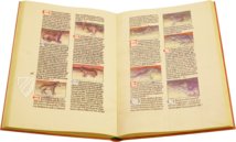 Liber de natura rerum - Codex C-67 – C-67 – Biblioteca Universitaria de Granada (Granada, Spanien) Faksimile