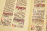 Liber de natura rerum - Codex C-67 – C-67 – Biblioteca Universitaria de Granada (Granada, Spanien) Faksimile