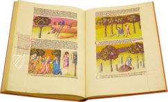 Liber de natura rerum - Codex C-67 – Universidad de Granada – C-67 – Biblioteca de la Universidad de Granada (Granada, Spanien)