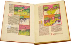 Liber de natura rerum - Codex C-67 – Universidad de Granada – C-67 – Biblioteca de la Universidad de Granada (Granada, Spanien)