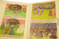 Liber de natura rerum - Codex C-67 – Universidad de Granada – C-67 – Biblioteca de la Universidad de Granada (Granada, Spanien)