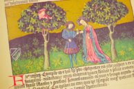 Liber de natura rerum - Codex C-67 – Universidad de Granada – C-67 – Biblioteca de la Universidad de Granada (Granada, Spanien)