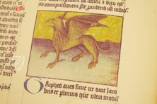 Liber de natura rerum - Codex C-67 – Universidad de Granada – C-67 – Biblioteca de la Universidad de Granada (Granada, Spanien)