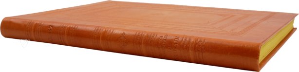 Liber de natura rerum - Codex C-67 – Universidad de Granada – C-67 – Biblioteca de la Universidad de Granada (Granada, Spanien)