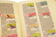 Liber de natura rerum - Codex C-67 – Universidad de Granada – C-67 – Biblioteca Universitaria de Granada (Granada, Spanien)