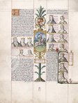 Libro de la Genealogia de los Reyes de Espana (Faksimile auf echtem Pergament)