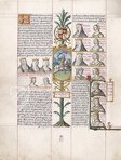 Libro de la Genealogia de los Reyes de Espana (Faksimile auf pergamentähnlichem Spezialpapier) Faksimile