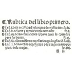 Libro del arte de las comadres o madrinas y del regimiento de las preñadas y paridas y de los niños – Vicent Garcia Editores – M.618.2c21d – Biblioteca de la Facultad de Medicina de la Universidad Complutense de Madrid (Madrid, Spanien)