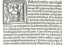 Libro del arte de las comadres o madrinas y del regimiento de las preñadas y paridas y de los niños – Vicent Garcia Editores – M.618.2c21d – Biblioteca de la Facultad de Medicina de la Universidad Complutense de Madrid (Madrid, Spanien)