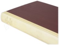 Lorscher Evangeliar – Prestel Verlag – Pal.lat.50|Inv. Nr. 138-1866 – Biblioteca Apostolica Vaticana (Vatikanstadt, Vatikanstadt)