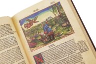 Luther-Bibel von 1534 – Taschen – Cl I: 58 (b) und (c)  – Herzogin Anna Amalia Bibliothek (Weimar, Deutschland)