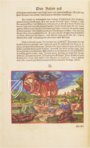 Luther-Bibel von 1534 – Taschen – Cl I: 58 (b) und (c)  – Herzogin Anna Amalia Bibliothek (Weimar, Deutschland)
