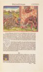 Luther-Bibel von 1534 – Taschen – Cl I: 58 (b) und (c)  – Herzogin Anna Amalia Bibliothek (Weimar, Deutschland)
