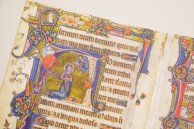 Macclesfield-Psalter – Thames and Hudson – MS 1–2005 – Fitzwilliam Museum (Cambridge, Vereinigtes Königreich)