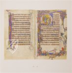 Macclesfield-Psalter – Thames and Hudson – MS 1–2005 – Fitzwilliam Museum (Cambridge, Vereinigtes Königreich)