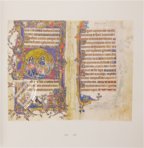 Macclesfield-Psalter – Thames and Hudson – MS 1–2005 – Fitzwilliam Museum (Cambridge, Vereinigtes Königreich)