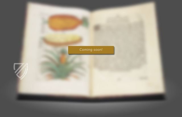 Manuskripte des Instituts de France – Faksimile Verlag – Mss "A" to "M" – Institut de France (Paris, Frankreich)