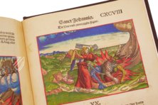 Martin Luther - Die Bibel von 1534 – Archiv Verlag – Cl I: 58 (b) und (c)  – Herzogin Anna Amalia Bibliothek (Weimar, Deutschland)