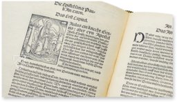 Martin Luther: September Bibel von 1522 – Manuscriptum – Biblioteka Uniwersytecka Mikołaj Kopernik w Toruniu (Toruń, Polen)