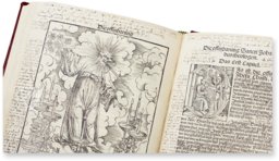 Martin Luther: September Bibel von 1522 – Manuscriptum – Biblioteka Uniwersytecka Mikołaj Kopernik w Toruniu (Toruń, Polen)