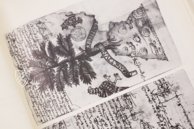 Matrícula de Huexotzinco – Akademische Druck- u. Verlagsanstalt (ADEVA) – Ms. Mex. 387 – Bibliothèque nationale de France (Paris, Frankreich) Matrícula de Huexotzinco – Akademische Druck- u. Verlagsanstalt (ADEVA) – Ms. Mex. 387 – Bibliothèque nationale de France (Paris, Frankreich)