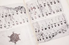 Matrícula de Huexotzinco – Akademische Druck- u. Verlagsanstalt (ADEVA) – Ms. Mex. 387 – Bibliothèque nationale de France (Paris, Frankreich) Matrícula de Huexotzinco – Akademische Druck- u. Verlagsanstalt (ADEVA) – Ms. Mex. 387 – Bibliothèque nationale de France (Paris, Frankreich)