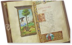 Medici-Aesop – Patrimonio Ediciones – Spencer 50 – New York Public Library (New York, USA)