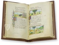 Medici-Aesop – Patrimonio Ediciones – Spencer 50 – New York Public Library (New York, USA)
