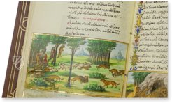 Medici-Aesop – Patrimonio Ediciones – Spencer 50 – New York Public Library (New York, USA)