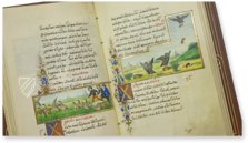 Medici-Aesop – Patrimonio Ediciones – Spencer 50 – New York Public Library (New York, USA)