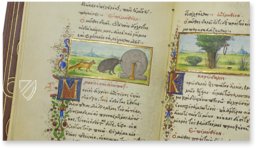 Medici-Aesop – Patrimonio Ediciones – Spencer 50 – New York Public Library (New York, USA)