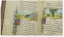 Medici-Aesop – Patrimonio Ediciones – Spencer 50 – New York Public Library (New York, USA)