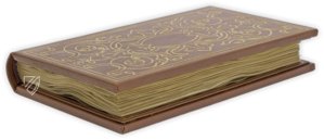 Medici-Aesop – Patrimonio Ediciones – Spencer 50 – New York Public Library (New York, USA)