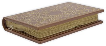 Medici-Aesop – Patrimonio Ediciones – Spencer 50 – New York Public Library (New York, USA)