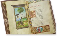 Medici-Aesop – Patrimonio Ediciones – Spencer 50 – The New York Public Library  (New York, USA) / Privatsammlung