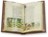 Medici-Aesop – Patrimonio Ediciones – Spencer 50 – The New York Public Library  (New York, USA) / Privatsammlung