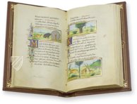 Medici-Aesop – Patrimonio Ediciones – Spencer 50 – The New York Public Library  (New York, USA) / Privatsammlung