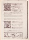Medici-Codex von 1518 – University of Chicago Press – Privatsammlung Medici-Codex von 1518 – University of Chicago Press – Privatsammlung