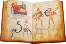Medicina Antiqua – Club du Livre – Cod. Vindob. 93 – Österreichische Nationalbibliothek (Wien, Österreich)