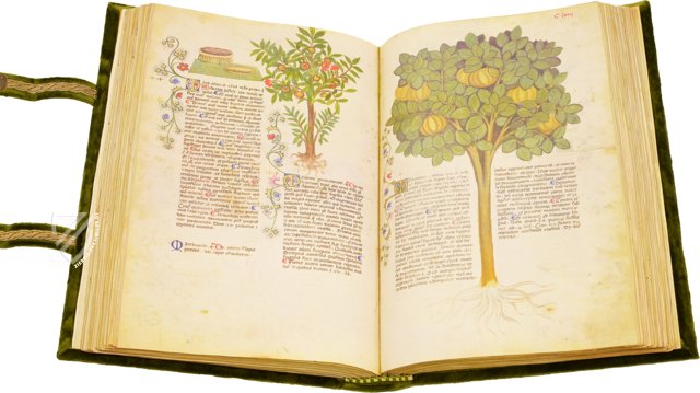 Medizinische Enzyklopädie Kaiser Wenzels – Franco Cosimo Panini Editore – Ms. 459 – Biblioteca Casanatense (Rom, Italien)