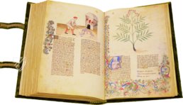 Medizinische Enzyklopädie Kaiser Wenzels – Franco Cosimo Panini Editore – Ms. 459 – Biblioteca Casanatense (Rom, Italien)