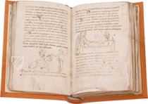Millstätter Genesis- und Physiologus-Handschrift – Akademische Druck- u. Verlagsanstalt (ADEVA) – Manuscript 6/19 – Kärntner Landesarchiv (Klangenfurt, Österreich)