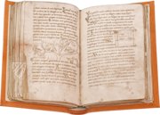 Millstätter Genesis- und Physiologus-Handschrift – Akademische Druck- u. Verlagsanstalt (ADEVA) – Manuscript 6/19 – Kärntner Landesarchiv (Klangenfurt, Österreich)